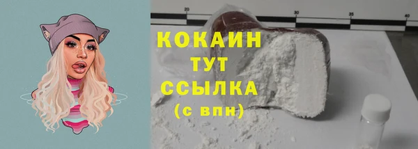 первитин Дмитриев