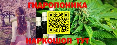 хмурый Канаш