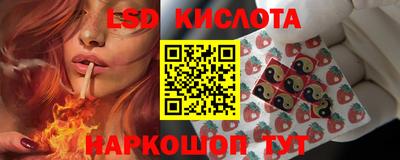 мяу мяу мука Камышлов