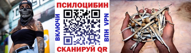 Галлюциногенные грибы мухоморы  Кунгур 